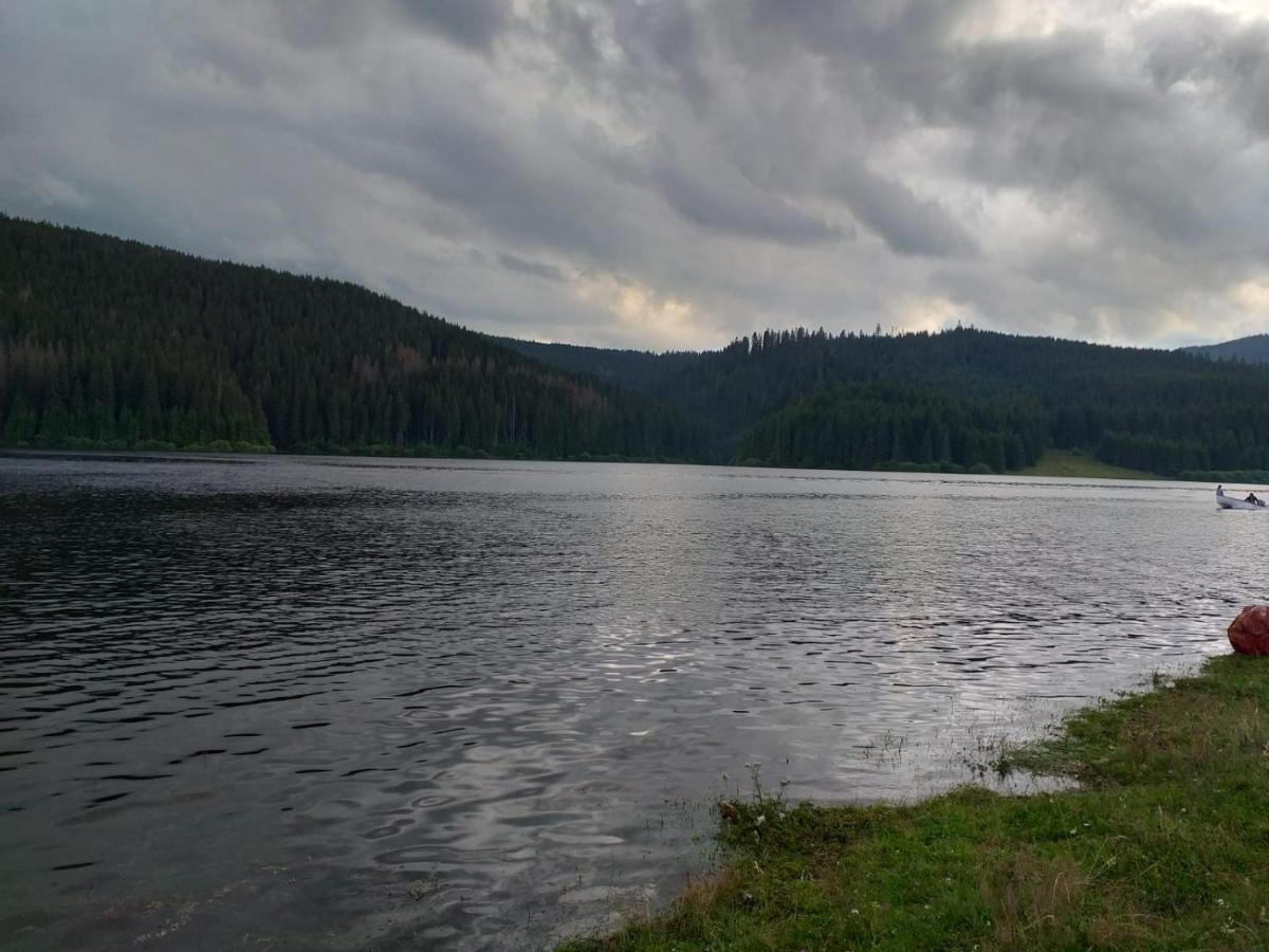 Pensiunea Floare De Colt Beliş Eksteriør billede